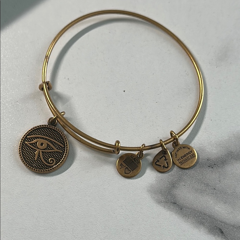 Pre owned Alex and Ani 2014 Charm Bangle Bracelet